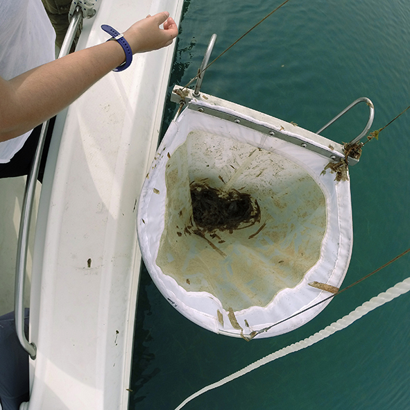 OceanSeven_thumbnail