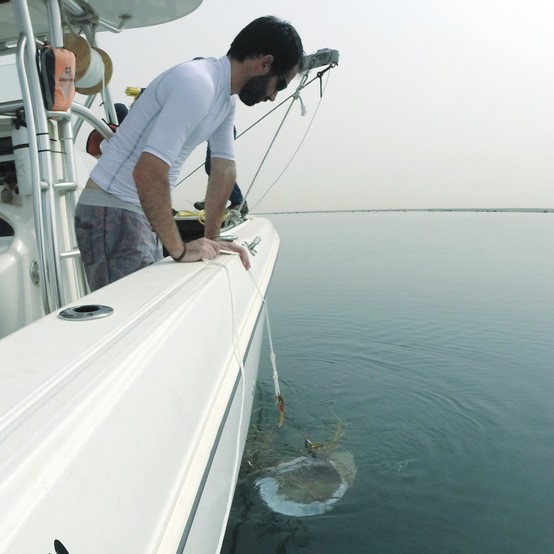 EXO01_sonde_thumbnail